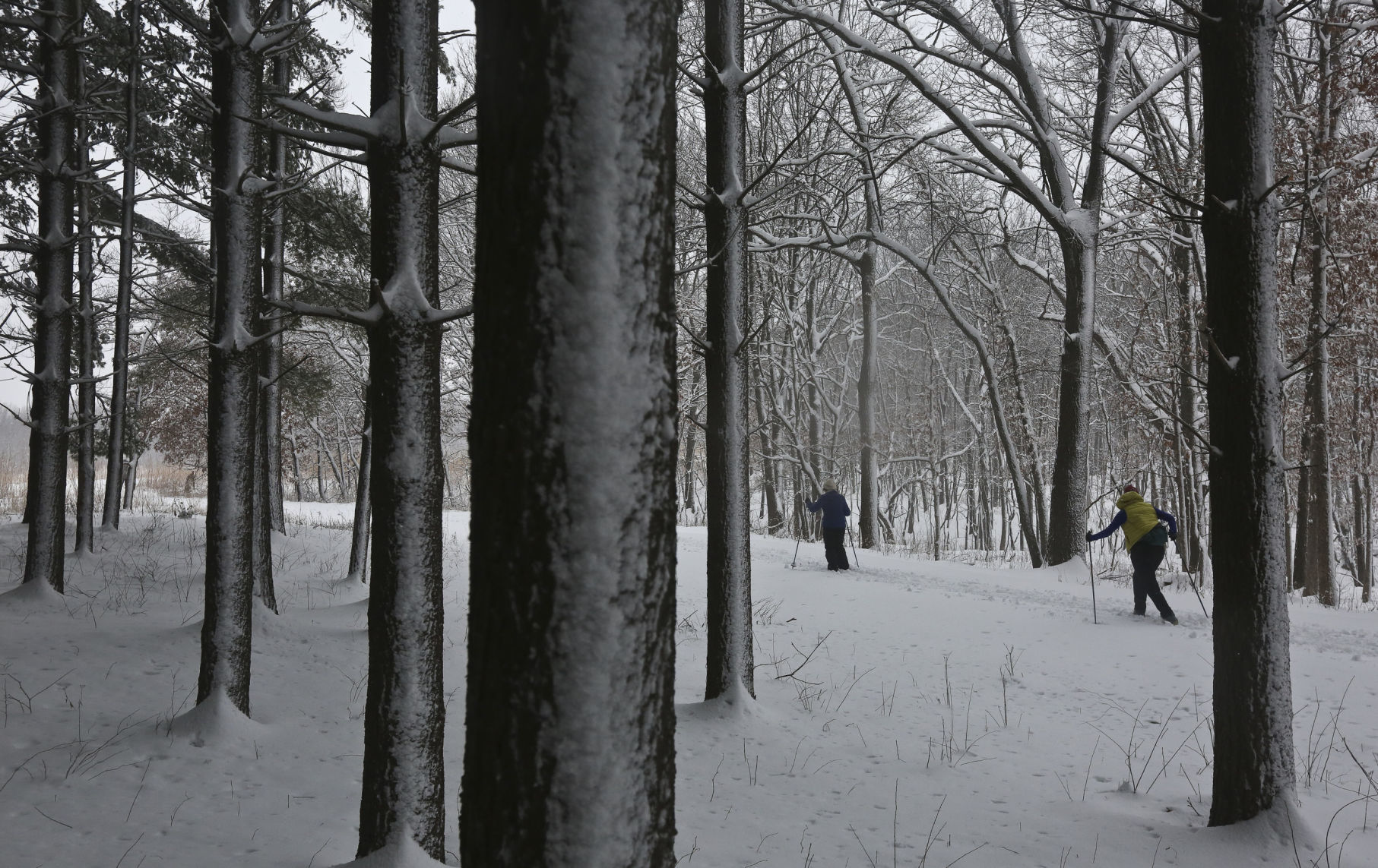 Buske_Beth 01.12.19.JPG